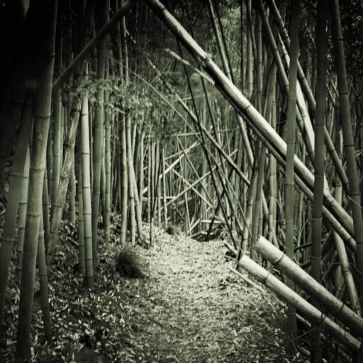 Catherine Ingram - Facing Extinction - Bamboo