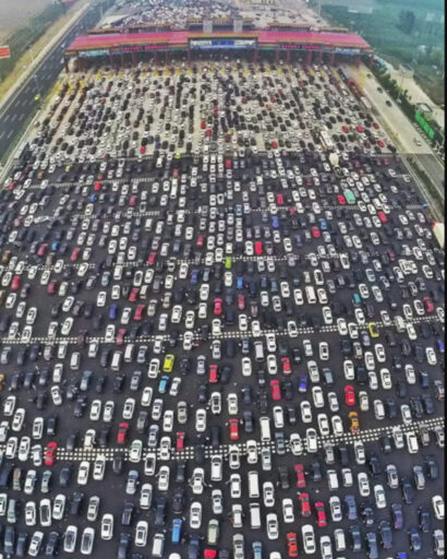 Catherine Ingram - Facing Extinction - China Traffic