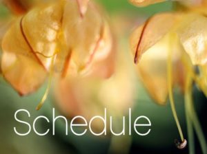 Catherine Ingram's Schedule